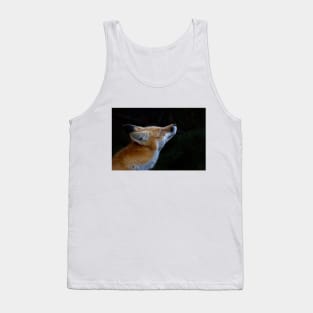 Red Fox, Algonquin Park, Canada Tank Top